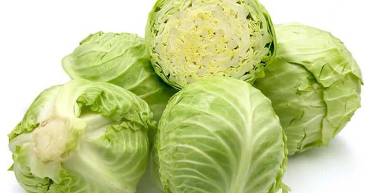 Bắp Cải Nhập Khẩu